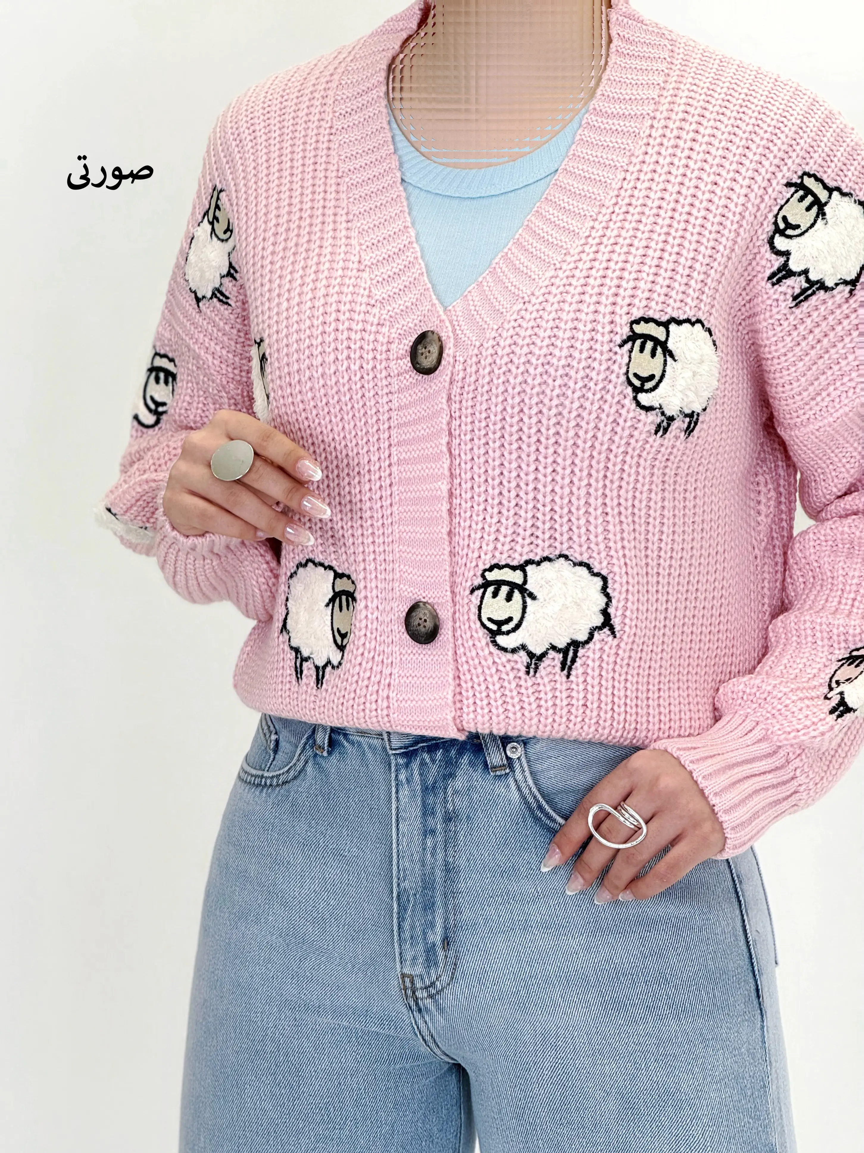 7369-کاردیگن sheep